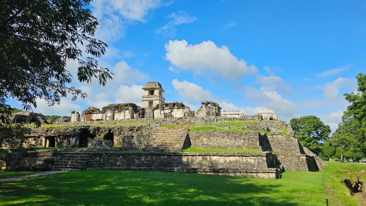 listing card gallery