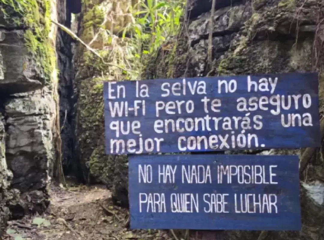 listing card gallery