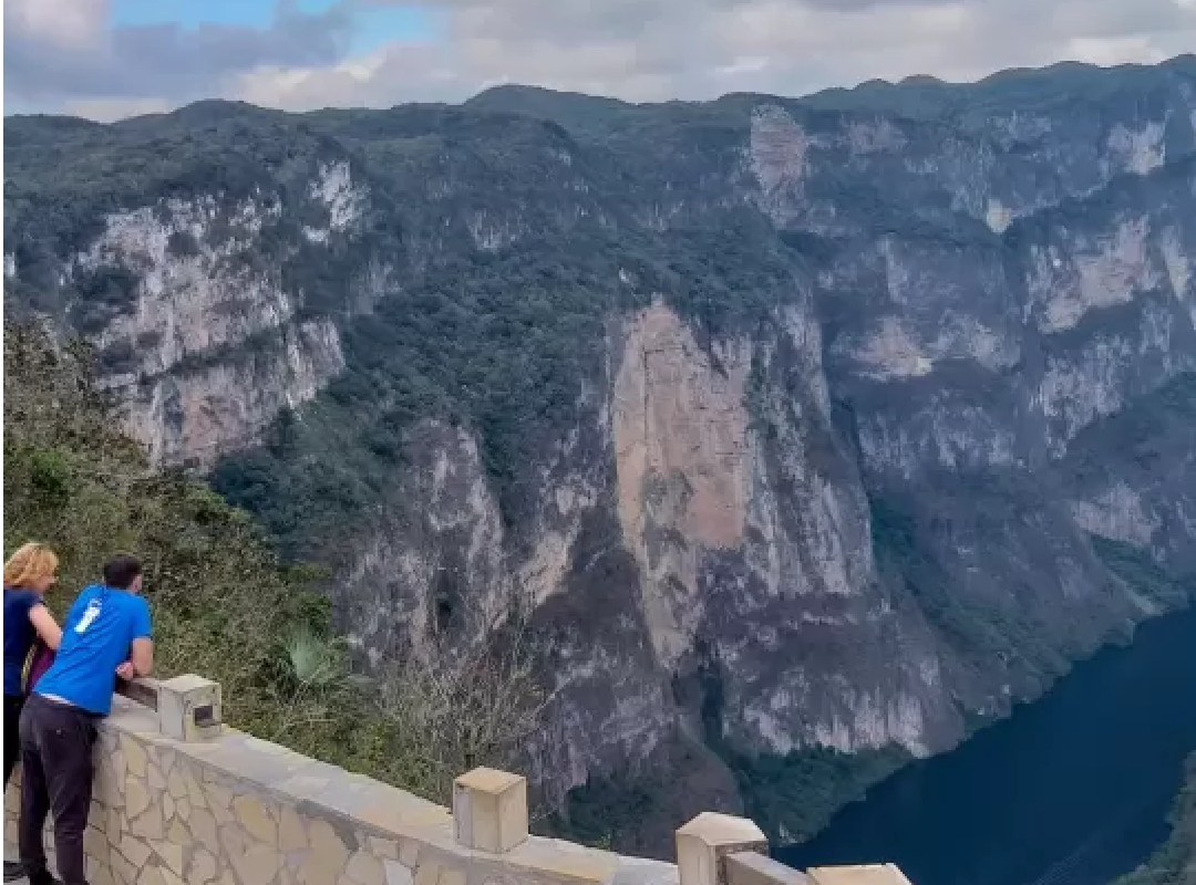 listing card gallery